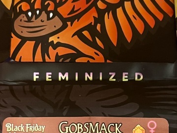 Vente: Gobsmack by Solfire Gardens