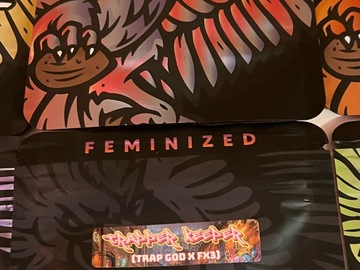 Venta: "Trapper Keeper" by Solfire Gardens | Trap God X FX3