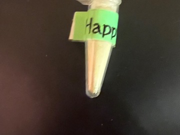 Sale: One vial of "Happy Hour" Pollen