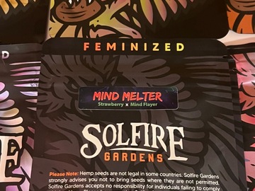 Venta: "Mind Melter" by Solfire Gardens 6ct Feminzed