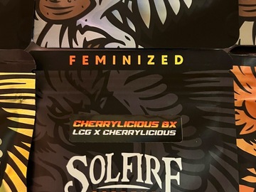 Venta: "Cherrylicious Bx" by Solfire Gardens 6ct Fem | LCG cross
