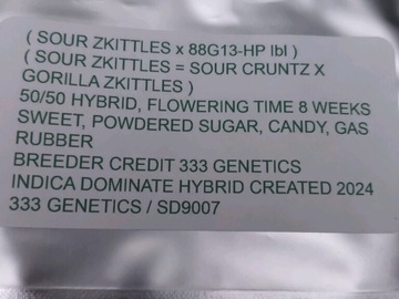 Venta: 88G13HP x (Sour Cruntz x Gorilla ZKittles)