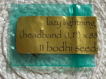 Venta: BODHI - LAZY LIGHTNING