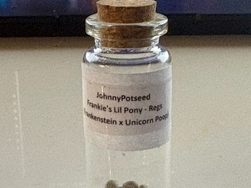 Vente: Frankies Lil Pony = (Frankenstein x Unicorn Poop)