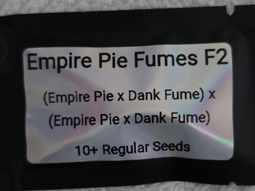 Subastas: TERRANOVA - EMPIRE PIE FUMES F2