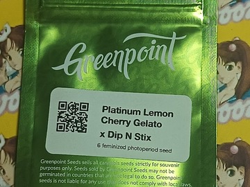 Vente: Platinum LCG x Dip N Stix – Greenpoint Seeds