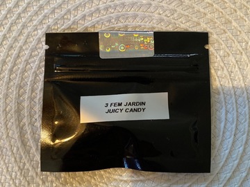 Auction: JARDIN - JUICY CANDY