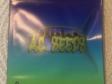 Auction: A.C. SEEDS - PLATINUM SKITTLEZ