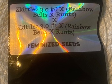 Auction: CANNA CRAFT - Z 3.0#6 X (RB X R) X Z 3.0#1 X RB X R