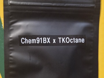 Auction: [Chem91 BX x TK.Octane] F1