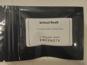 Verkaufen: Urinal Kush (Triangle Kush x Urinal Cake) - 12 Regs