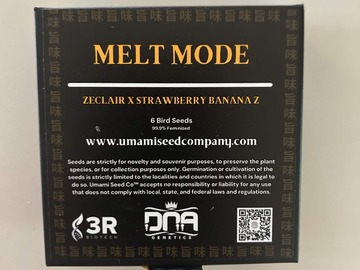 Verkaufen: Melt Mode from Umami x DNA