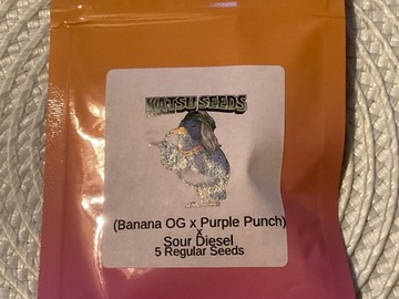 Auction: KATSU SEEDS (BANANA OG X PURPLE PUNCH) X SOUR DIESEL