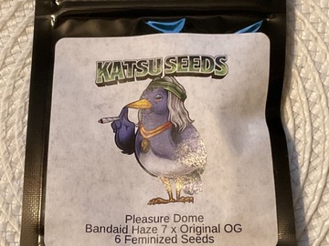 Sale: KATSU SEEDS PLEASURE DOME