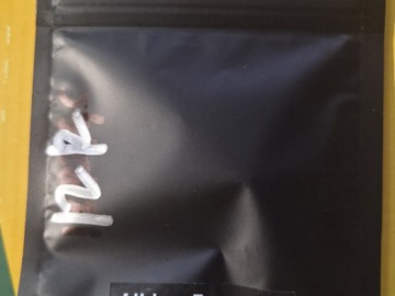 Auction: Albino Beast F2 [G13HP x The White] *Preservation
