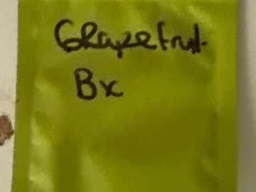 Sale: 90s grapefruit bx