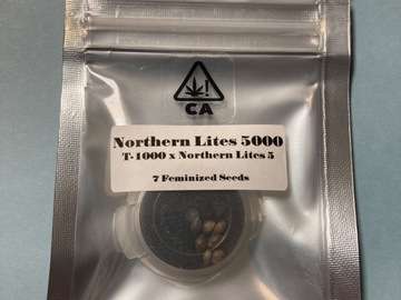 Sale: CSI Humboldt - Northern Lites 5000 - T-1000 x NL5 - Feminized