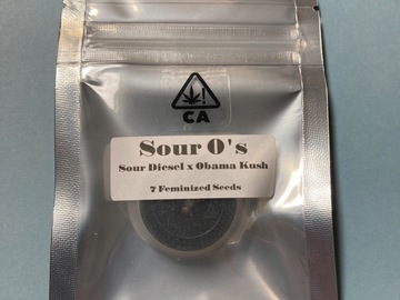Sale: CSI Humboldt - Sour O’s - Sour Diesel x Obama Kush - Feminized