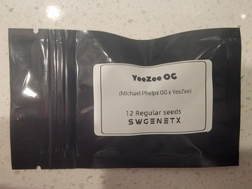 Sale: YeeZee OG (Michael Phelps OG x YeeZee) - 12 Regs