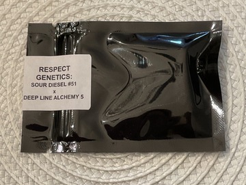 Subastas: RESPECT GENETICS SOUR DIESEL #51 X DEEP LINE ALCHEMY 5