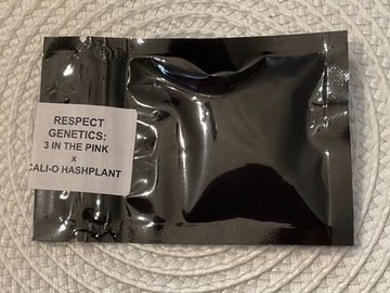 Subastas: RESPECT GENETICS 3 IN THE PINK X CALI-O HASHPLANT