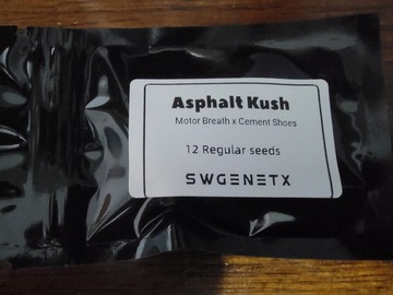 Auktion: Asphalt Kush (Motor Breath x Cement Shoes) - Auction
