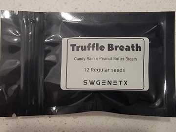 Auktion: Truffle Breath (Candy Rain x Peanut Butter Breath) - Auction