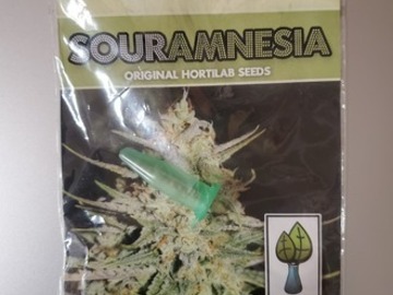 Verkaufen: 2011 Sour Amnesia [Amnesia Haze x ECSD v3]