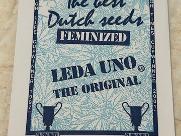 Sale: KC Brains Holland | Leda Uno The Original | Feminized