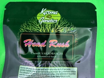 Subastas: HEAD RUSH ( KARMA GENETICS ) NEW NEW ( CHEM 91 X HEADBANGER)