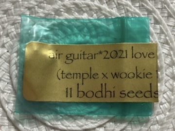 Subastas: BODHI SEEDS AIR GUITAR