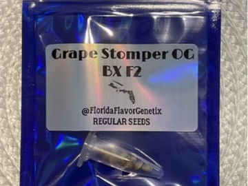 Sale: GRAPE STOMPER OG BX F2
