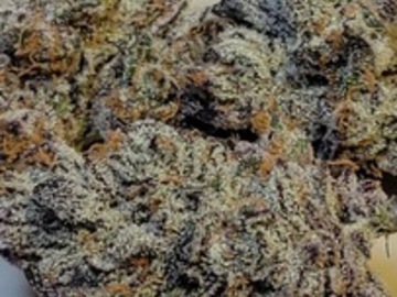 Sale: COMPOUND GENETICS JOKERZ CANDY