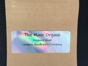 Auction: Dogwe ed Head (Loompas Headband x Stardawg) 21pk. Regs