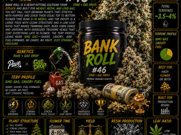 Venta: Bank Roll (Ziplock)