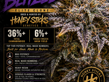 Venta: Cease and get blitzed (Honey Sticks)