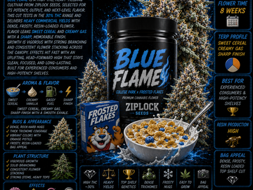 Venta: Blue Flame (ziplock seeds)
