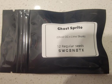 Verkaufen: Ghost Sprite (Ghost OG x Lime Skunk) - 12 Regs