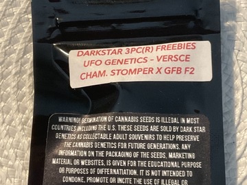 Subastas: UFO GENETICS VERSCE CHAMPAGNE STOMPER X GFB F2