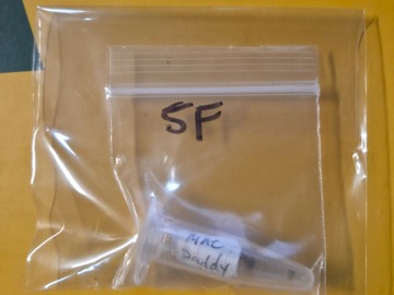 Subastas: Mac Daddy [Orig. GDP x Mac1 *Cap cut] *RH Genetics
