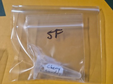 Subastas: Cherry Sundae [(BlkCherrySoda/CherryPie x PPunch) x SundaeDriver]