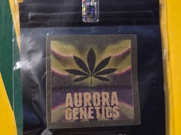 Subastas: Grizzly Peak F1 [APK F3/SF.Sourdough F2] *2007 SR71 Purple Kush