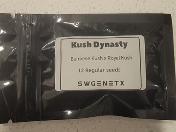 Subastas: Kush Dynasty (Burmese Kush x Royal Kush) - Auction