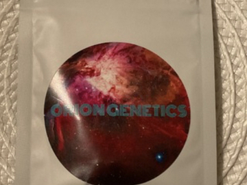 Auction: ORION - CAKE WARS