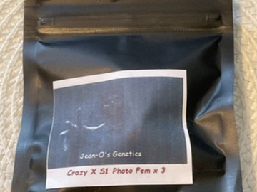 Auction: JEAN-O - CRAZY X S1