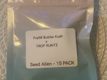 Auction: SEED ALIEN - PRE98 BUBBA KUSH X TROP RUNTZ (Tiki)