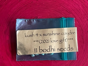 Vente: Bodhi - Kush 4 x Sunshine Daydream