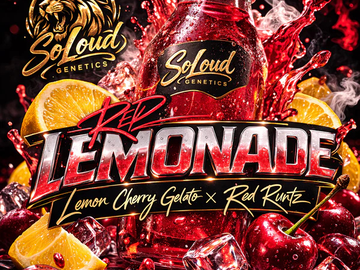 Vente: RED LEMONADE (LCG X RED RUNTZ) FEM 6PACK + 3