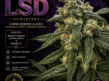 Vente: LSD (AFGHANI X SKUNK #1) (FEM) 6Pack + 3