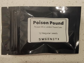 Enchères: Poison Pound (Poison OG x London Pound Cake) - Auction